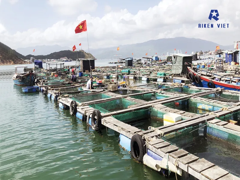 H2S thường xuất hiện ở khu vực nước thải, hầm kín hoặc bùn phân hủy, gây mùi trứng thối và ảnh hưởng mạnh đến an toàn lao động
