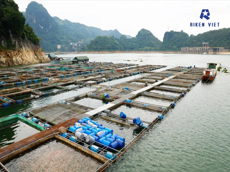 Đặt máy đo khí nơi tích tụ khí độc, dòng chảy ổn định, ít bọt và được cố định chắc chắn.